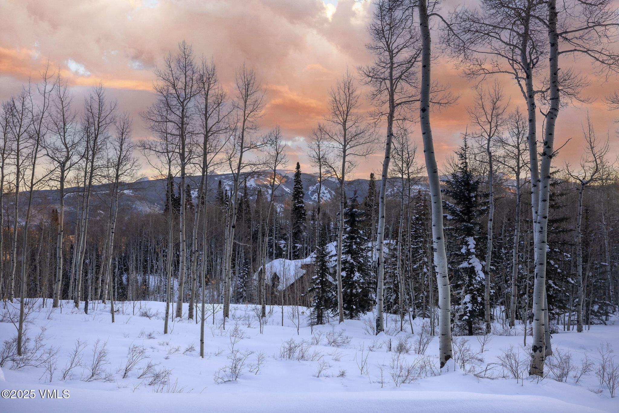 1724 Paintbrush Property Photo 34