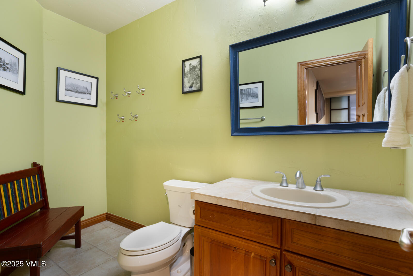 266 Sawatch Drive Property Photo 37