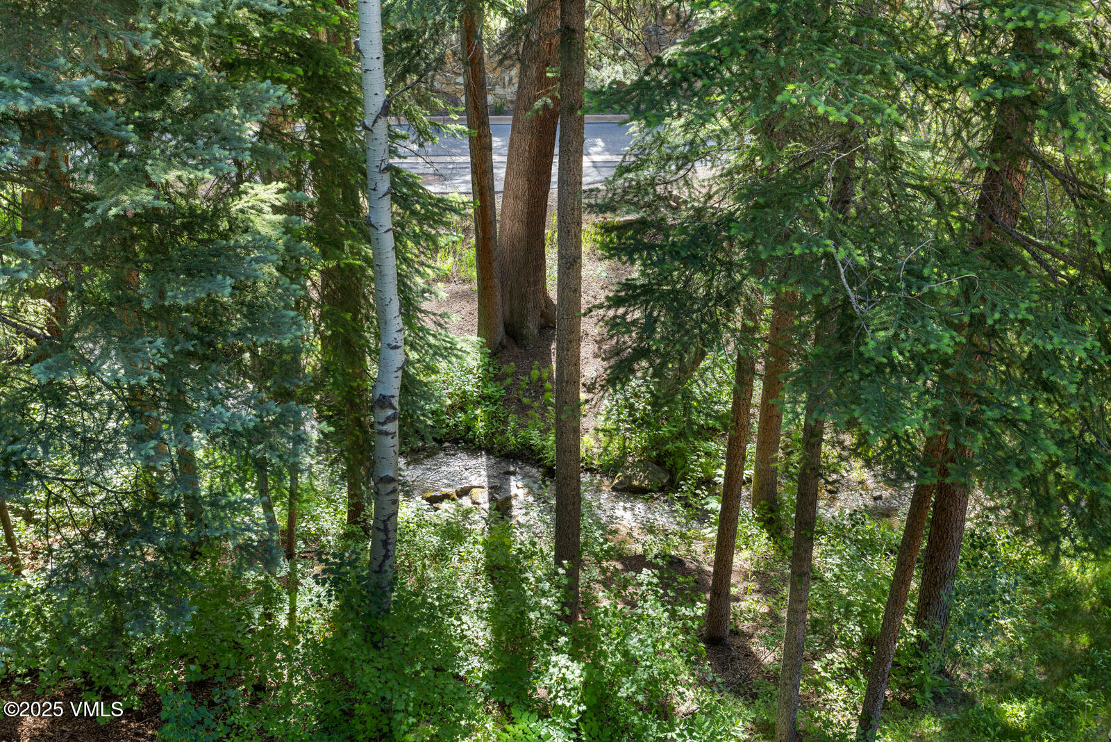 12 Cabin Creek Lane Property Photo 10