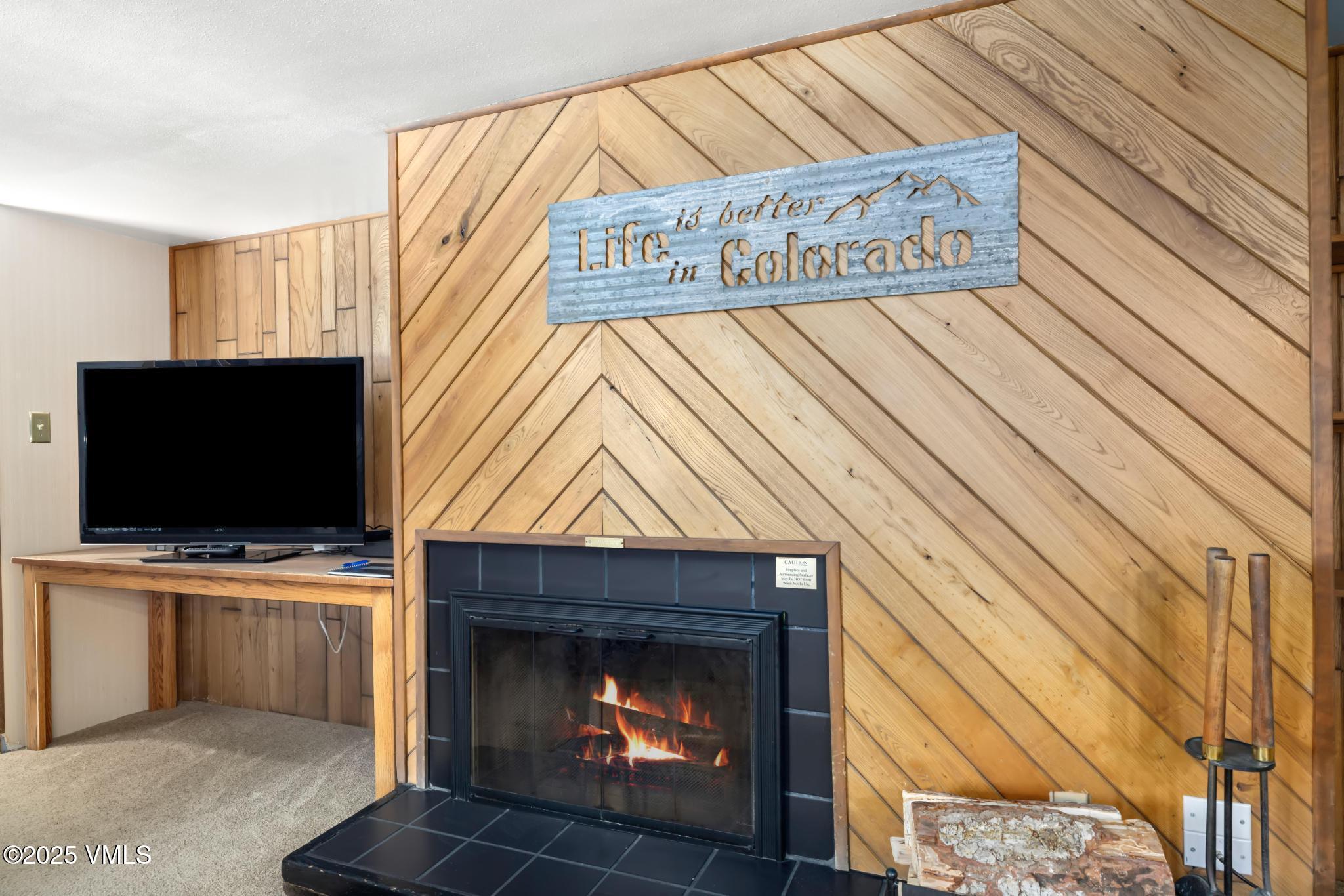 423 Wild Irishman Road, 1008 + 1009 Property Photo 5