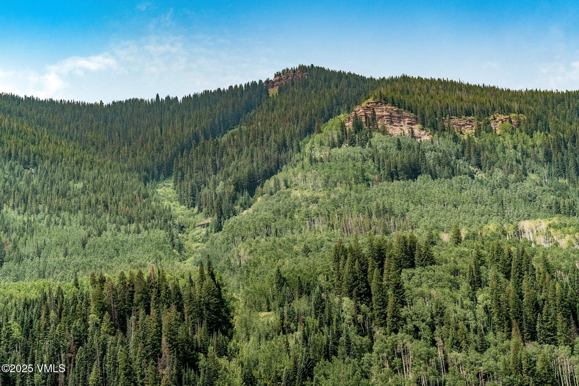 4545 Bighorn Road Property Photo 45