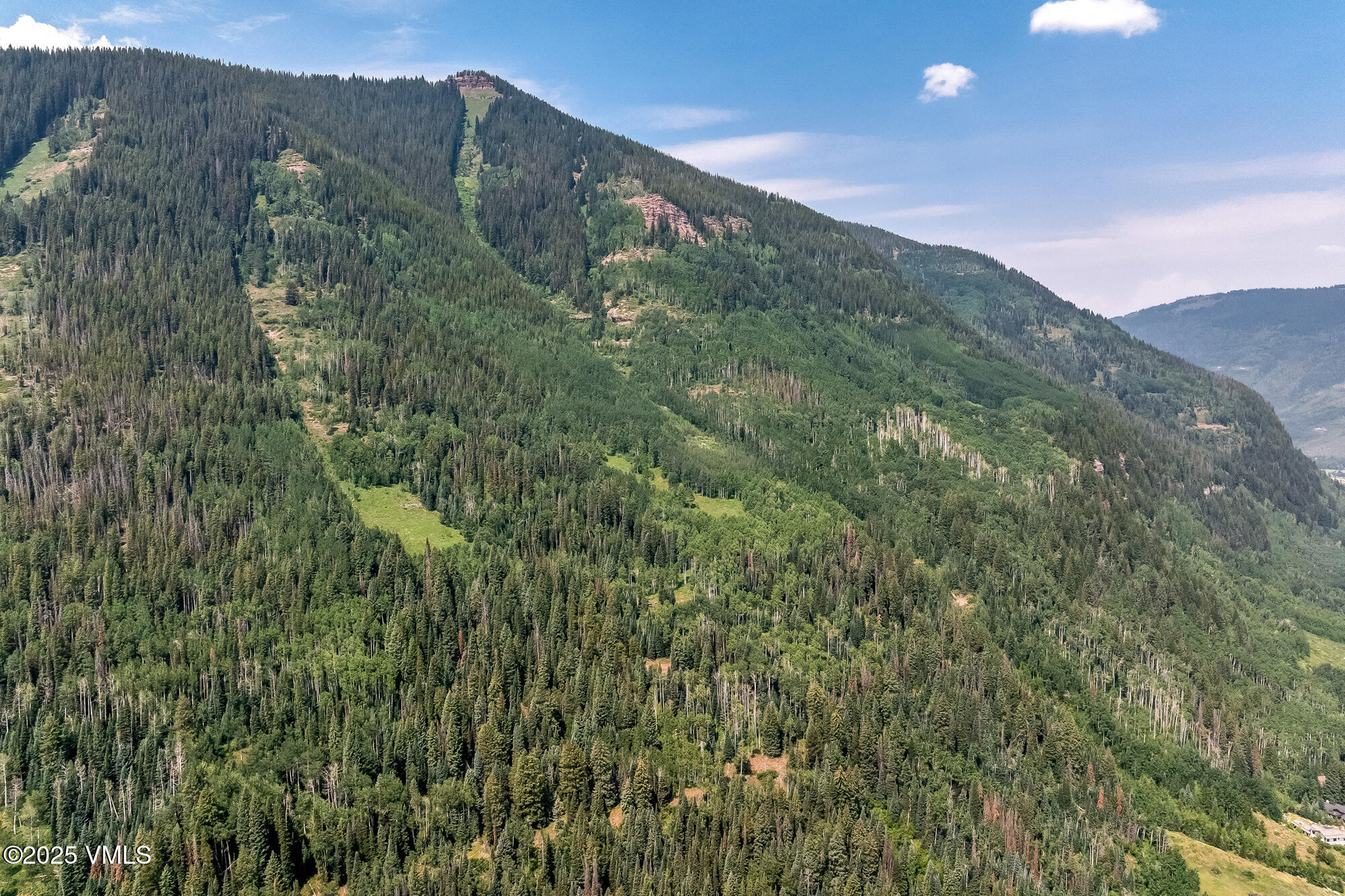 4545 Bighorn Road Property Photo 46