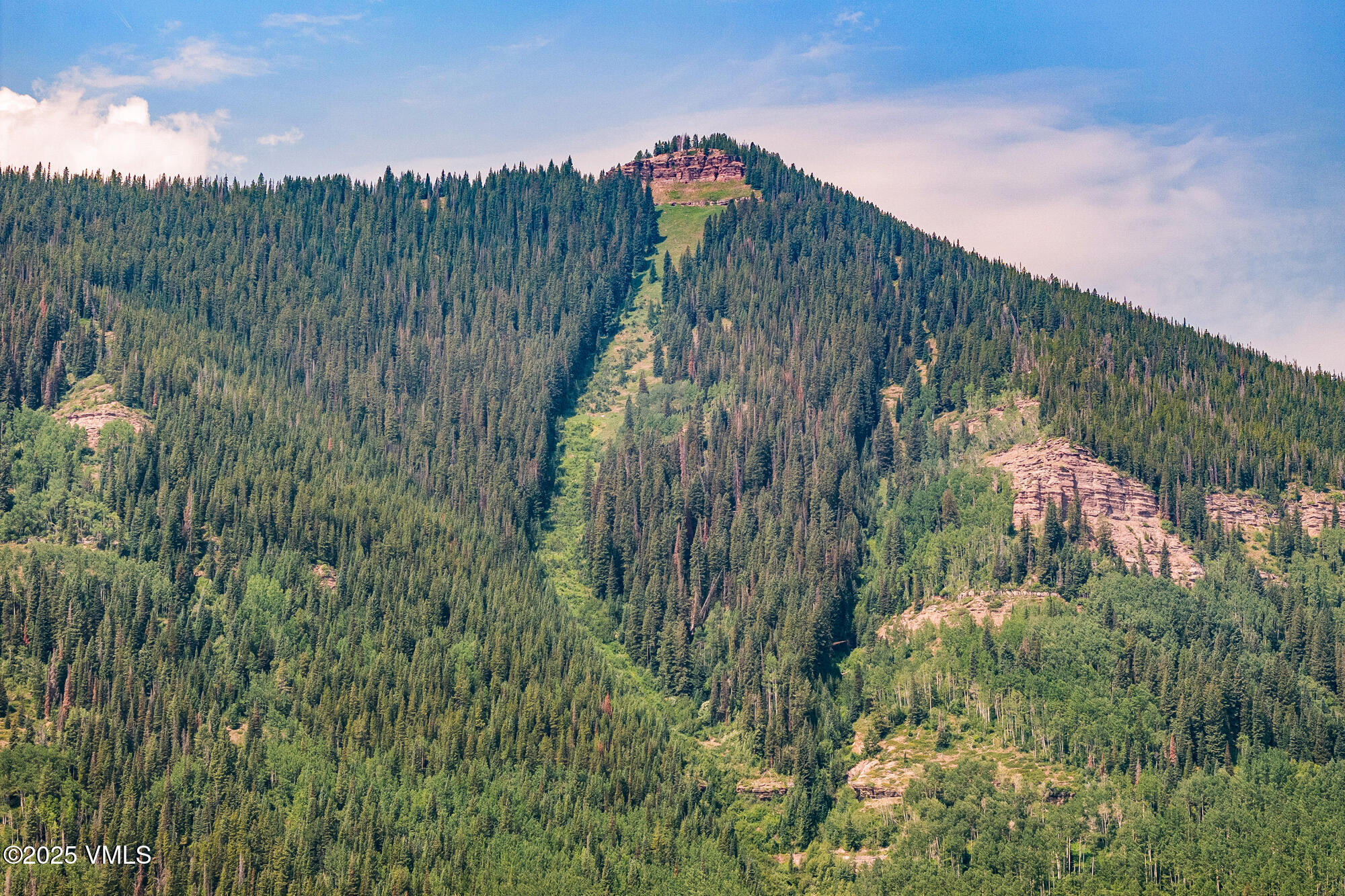 4545 Bighorn Road Property Photo 47