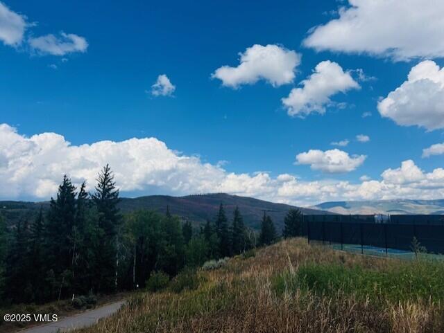 210 Settlers Loop Property Photo 5