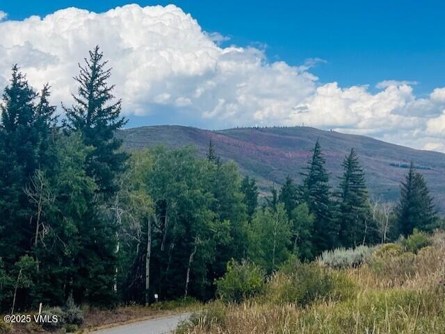 210 Settlers Loop Property Photo 6