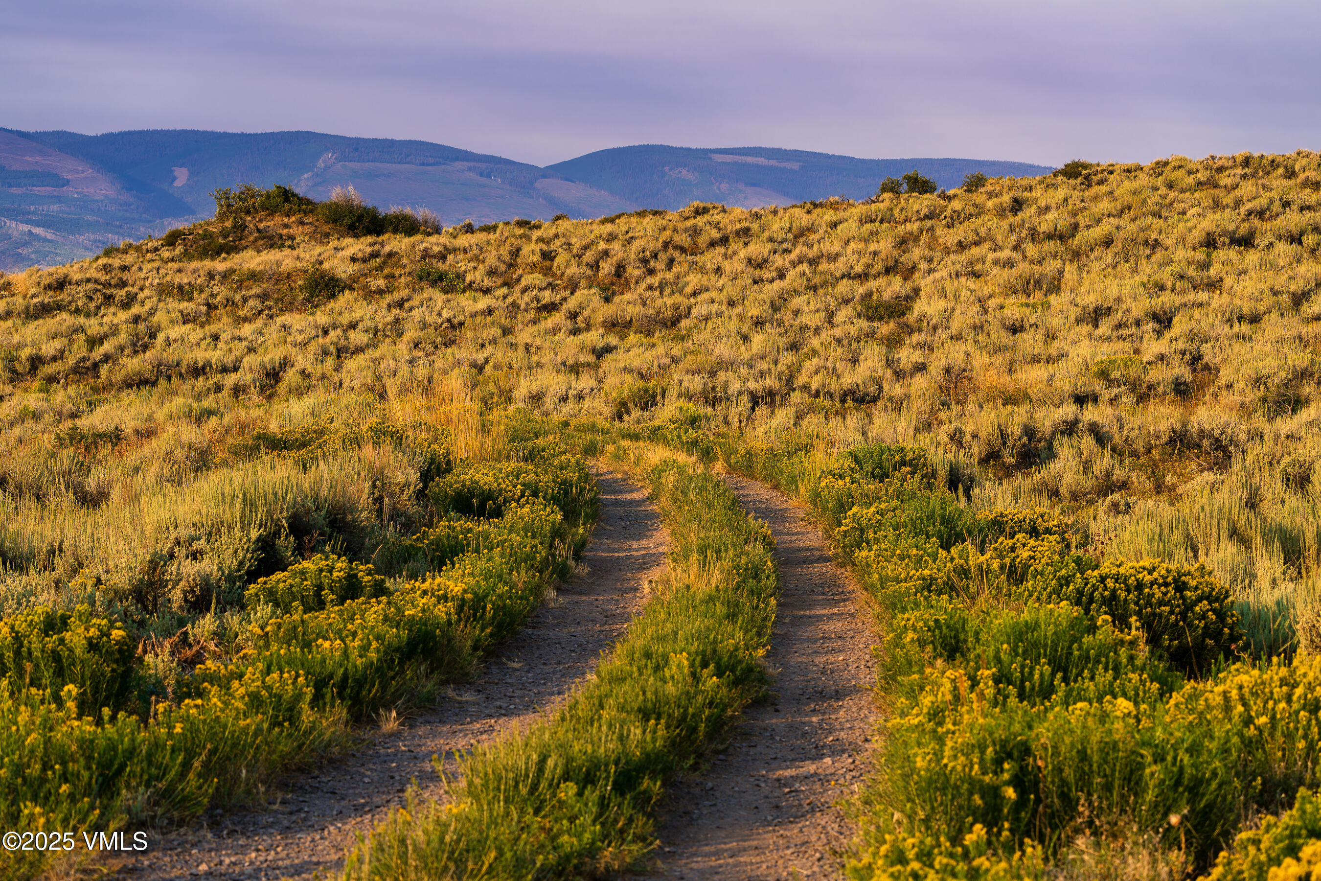 Tbd Diamond Star Ranch Road Property Photo 2