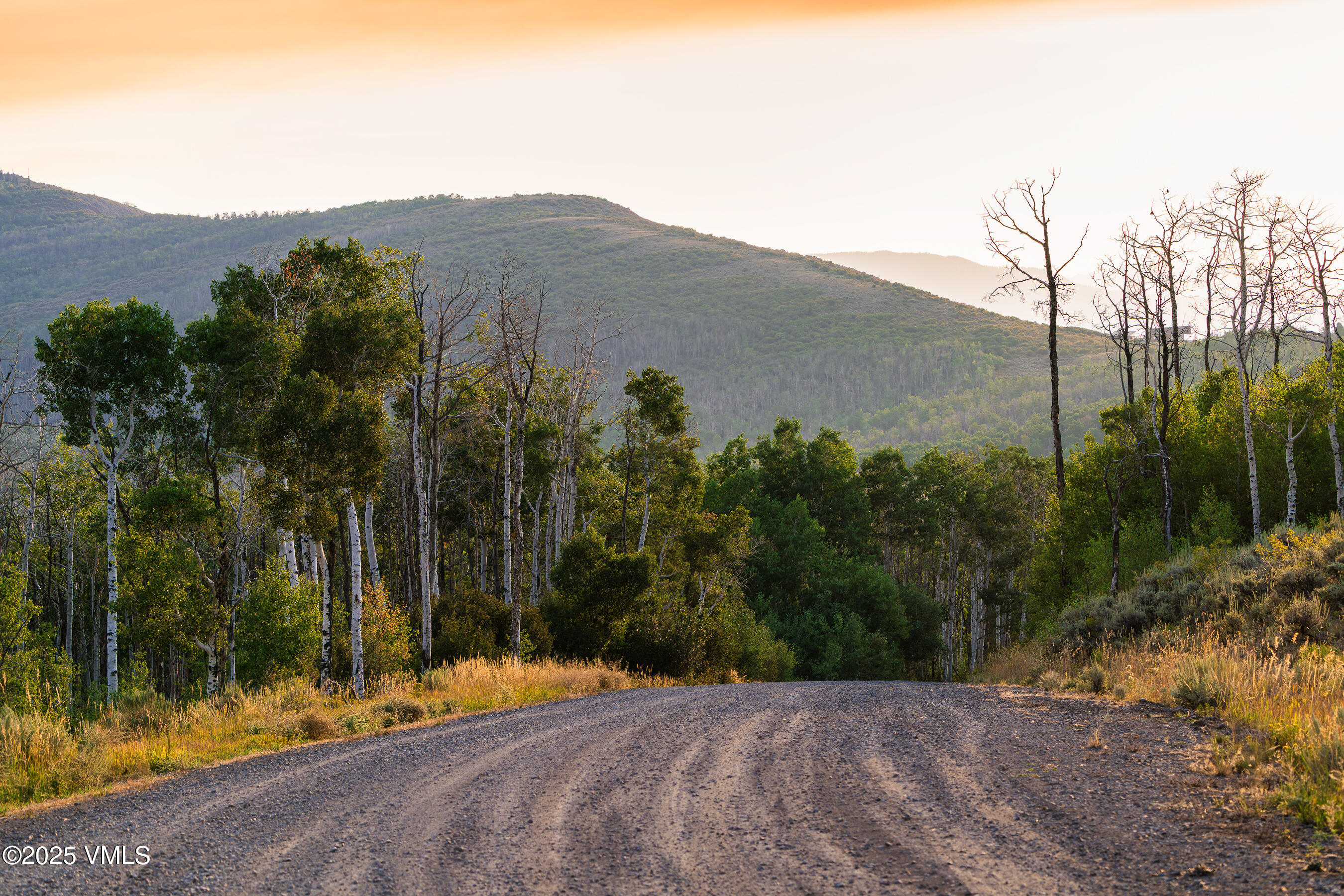 Tbd Diamond Star Ranch Road Property Photo 6
