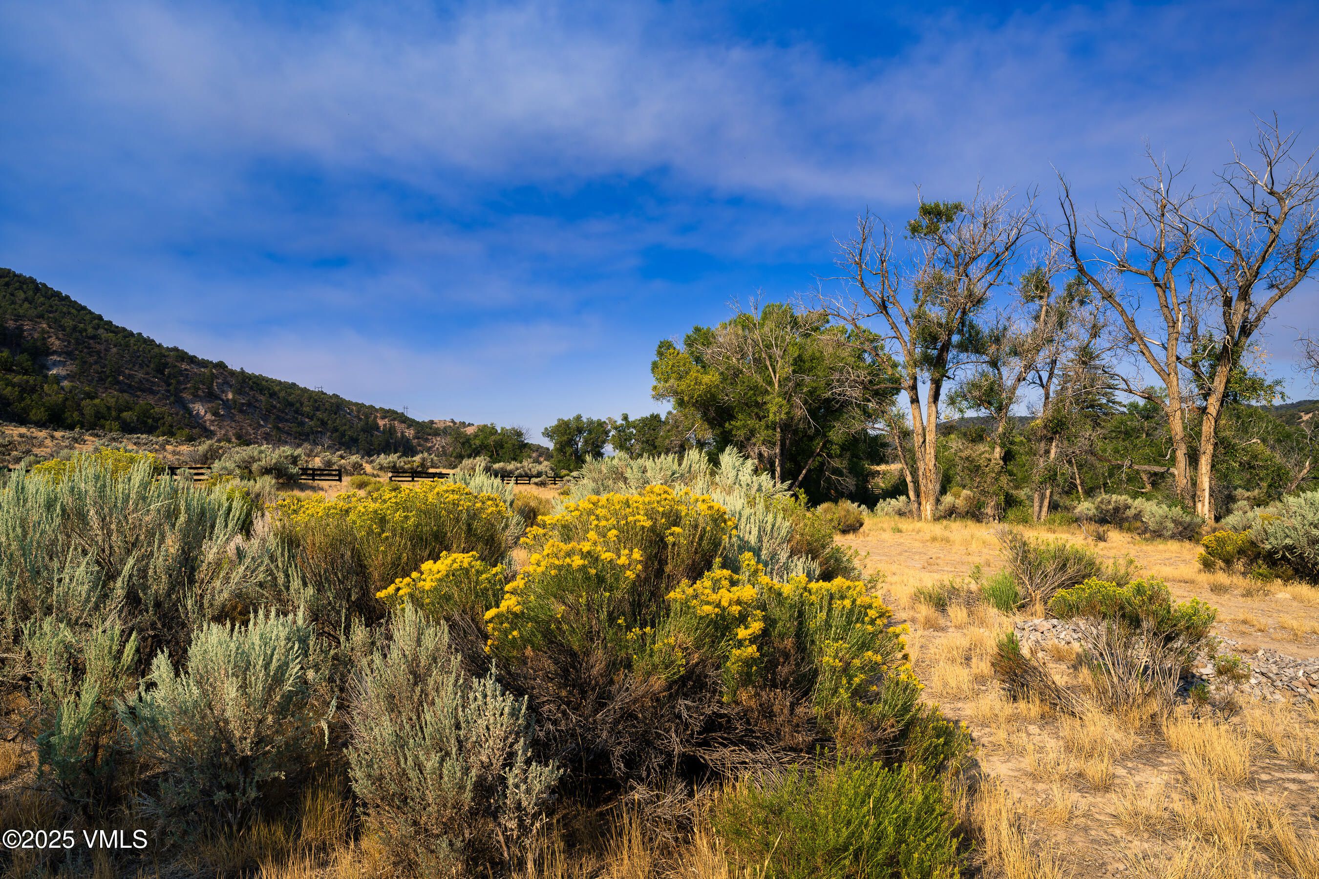 1633 W Diamond Star Road Property Photo 13
