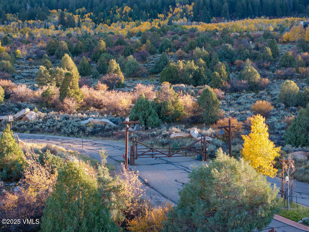 76 Stag Horn Trail Property Photo 4