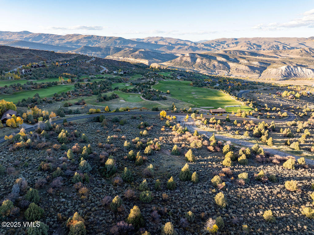 76 Stag Horn Trail Property Photo 5