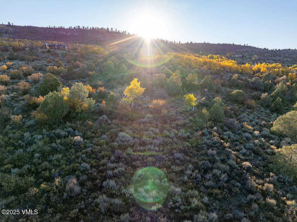 76 Stag Horn Trail Property Photo 6