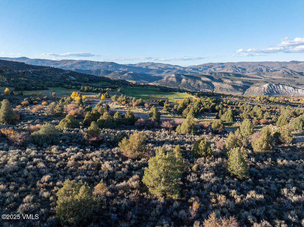 76 Stag Horn Trail Property Photo 7