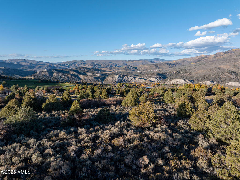 76 Stag Horn Trail Property Photo 8