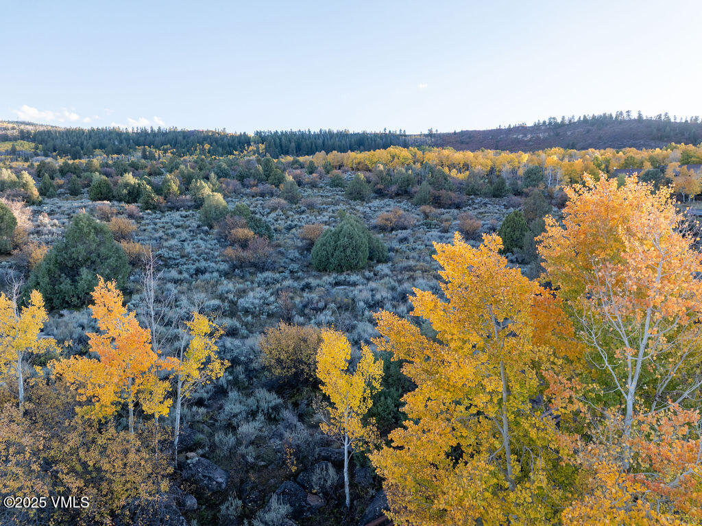 76 Stag Horn Trail Property Photo 9