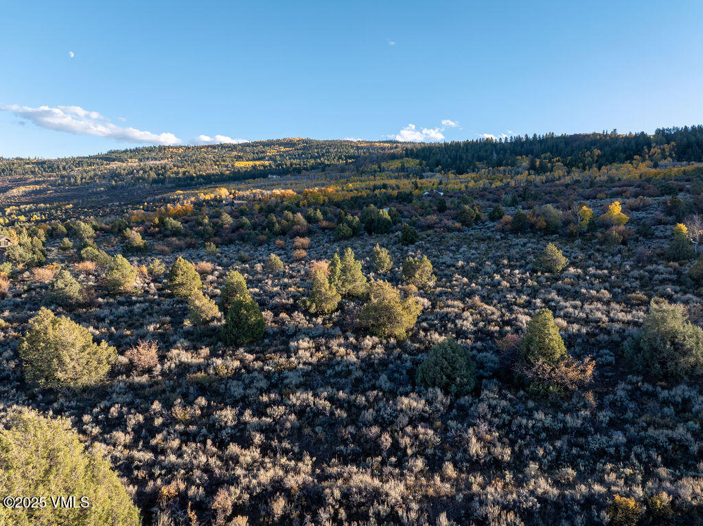 76 Stag Horn Trail Property Photo 10