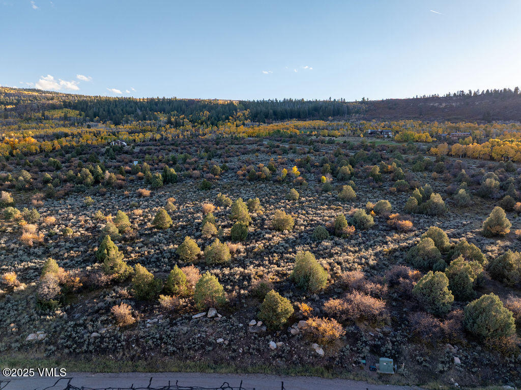 76 Stag Horn Trail Property Photo 11