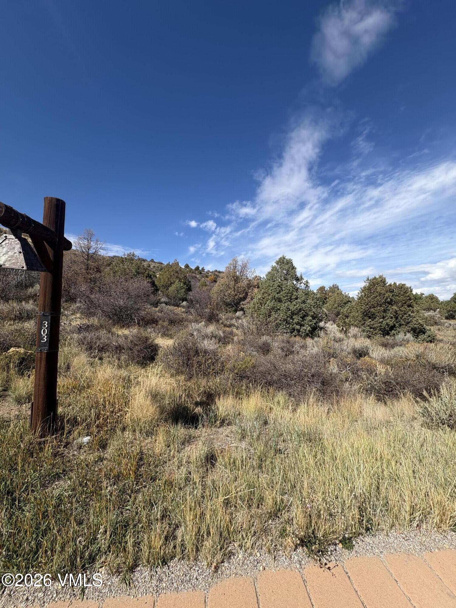 303 Red Sky Road Property Photo 1