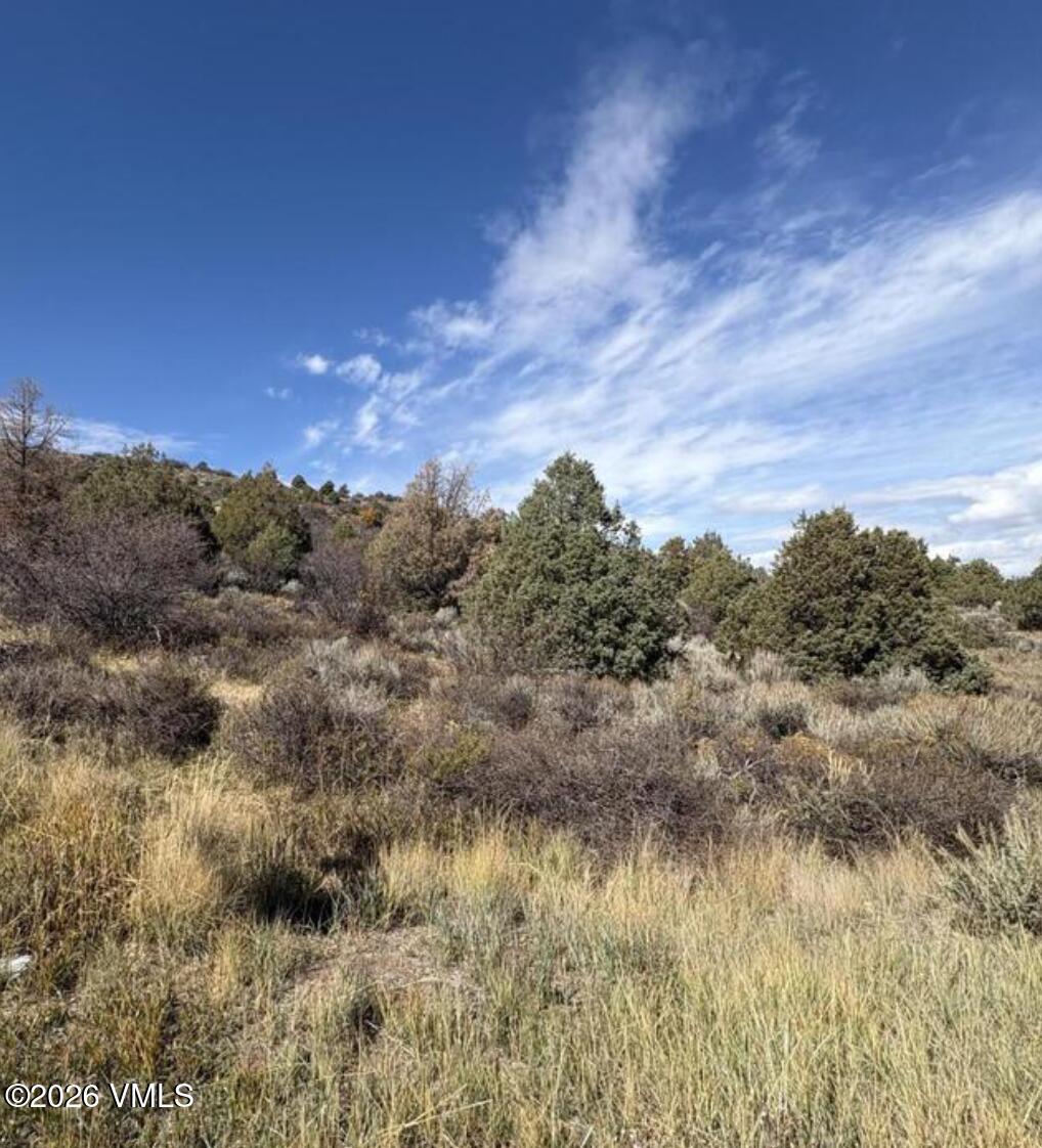 303 Red Sky Road Property Photo 6