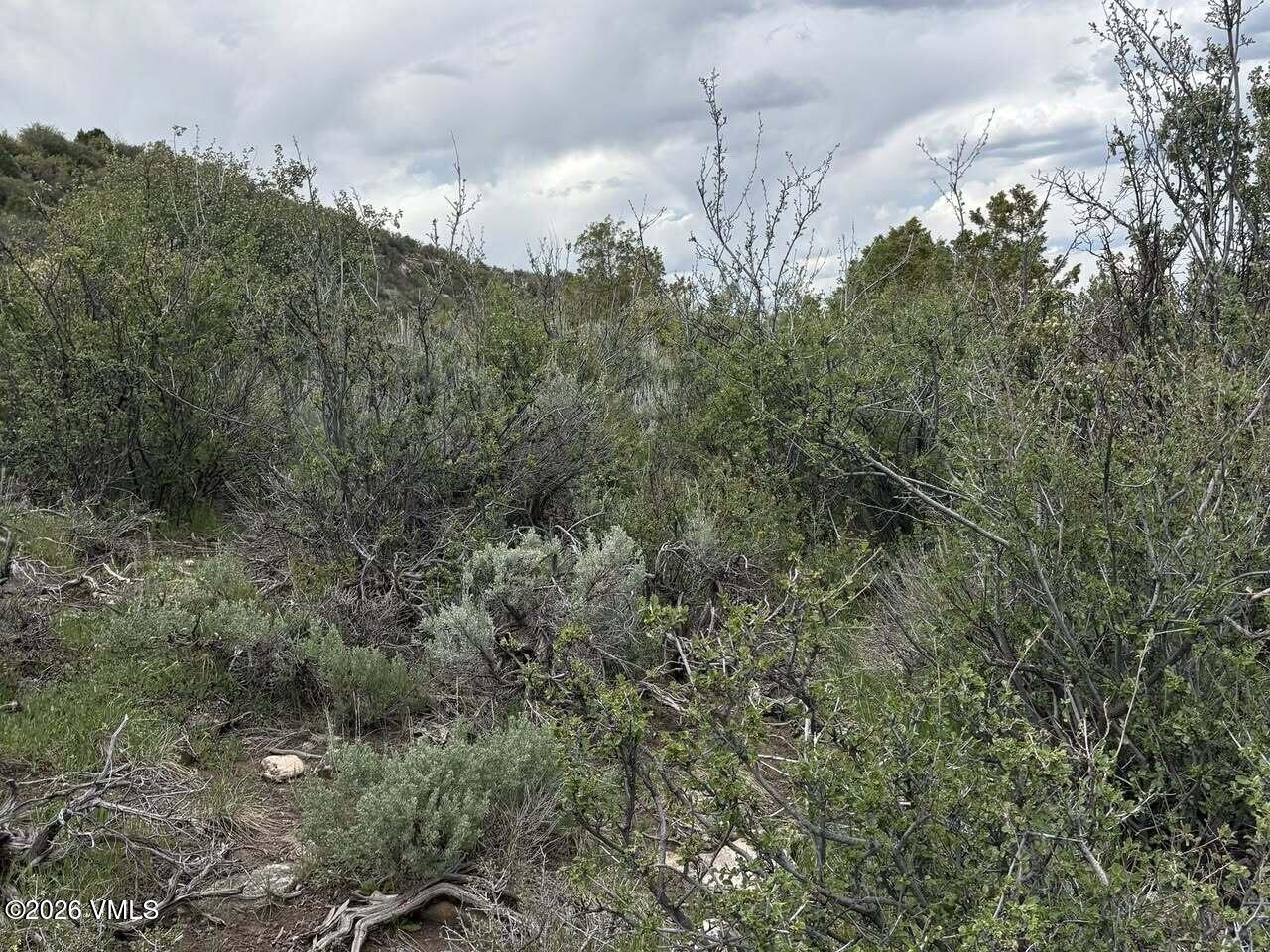 303 Red Sky Road Property Photo 7