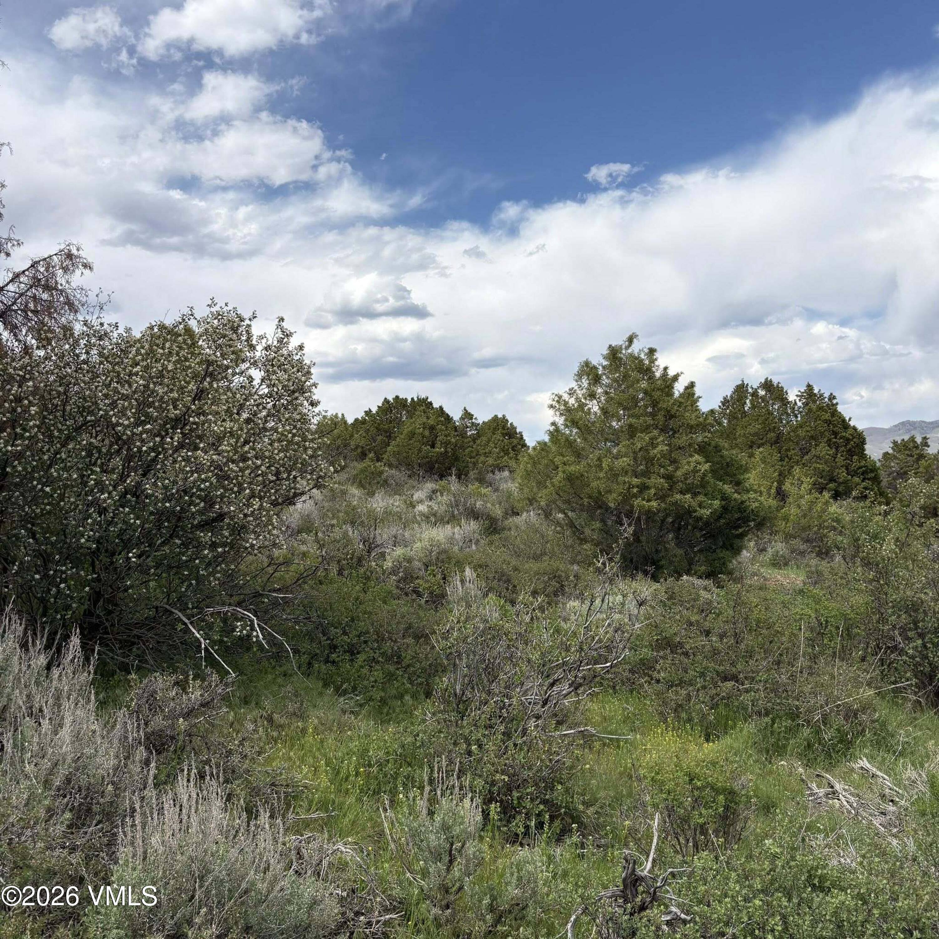 303 Red Sky Road Property Photo 9
