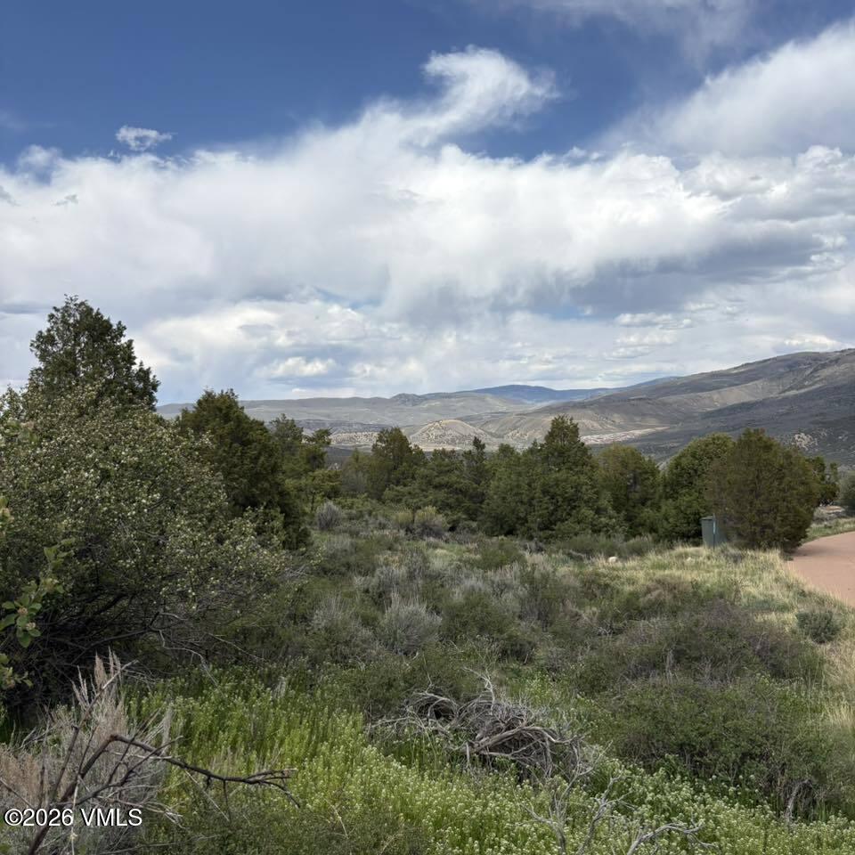 303 Red Sky Road Property Photo 10
