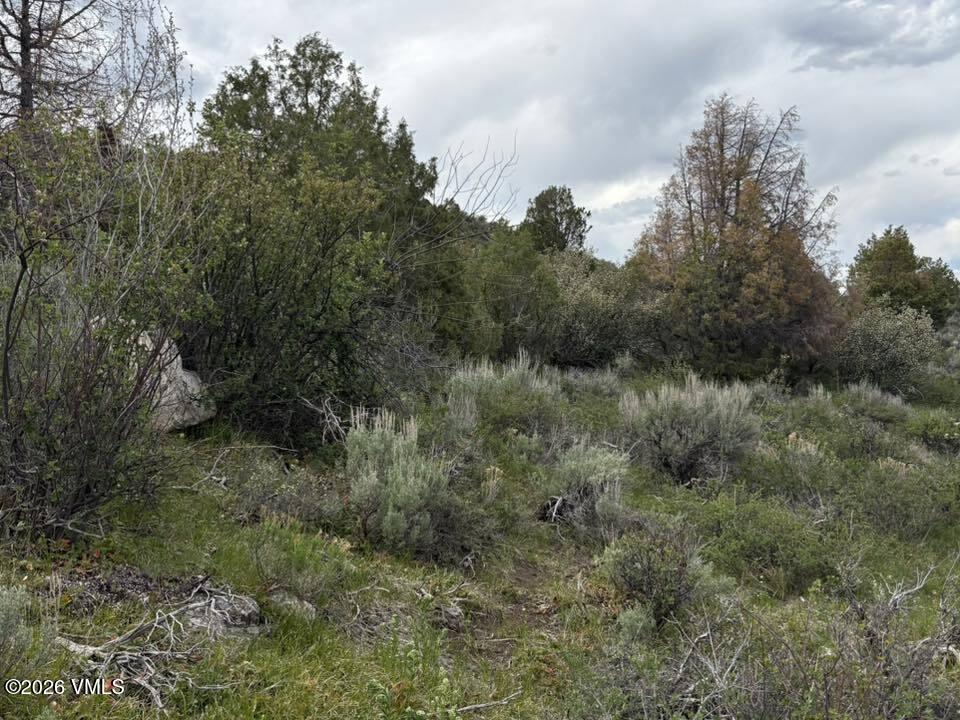 303 Red Sky Road Property Photo 11