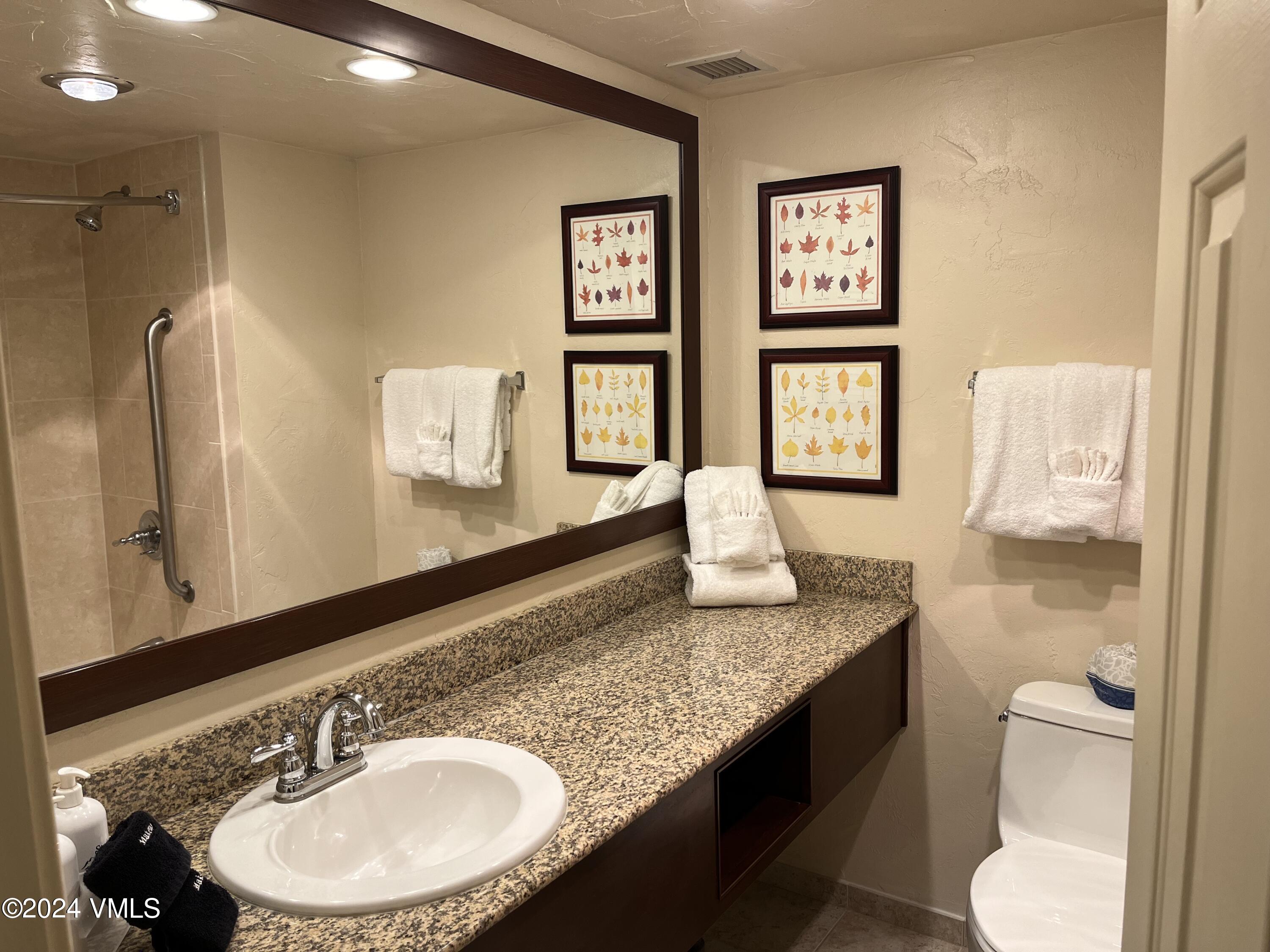 1020 Vail View Drive 3209-11 Property Photo 12