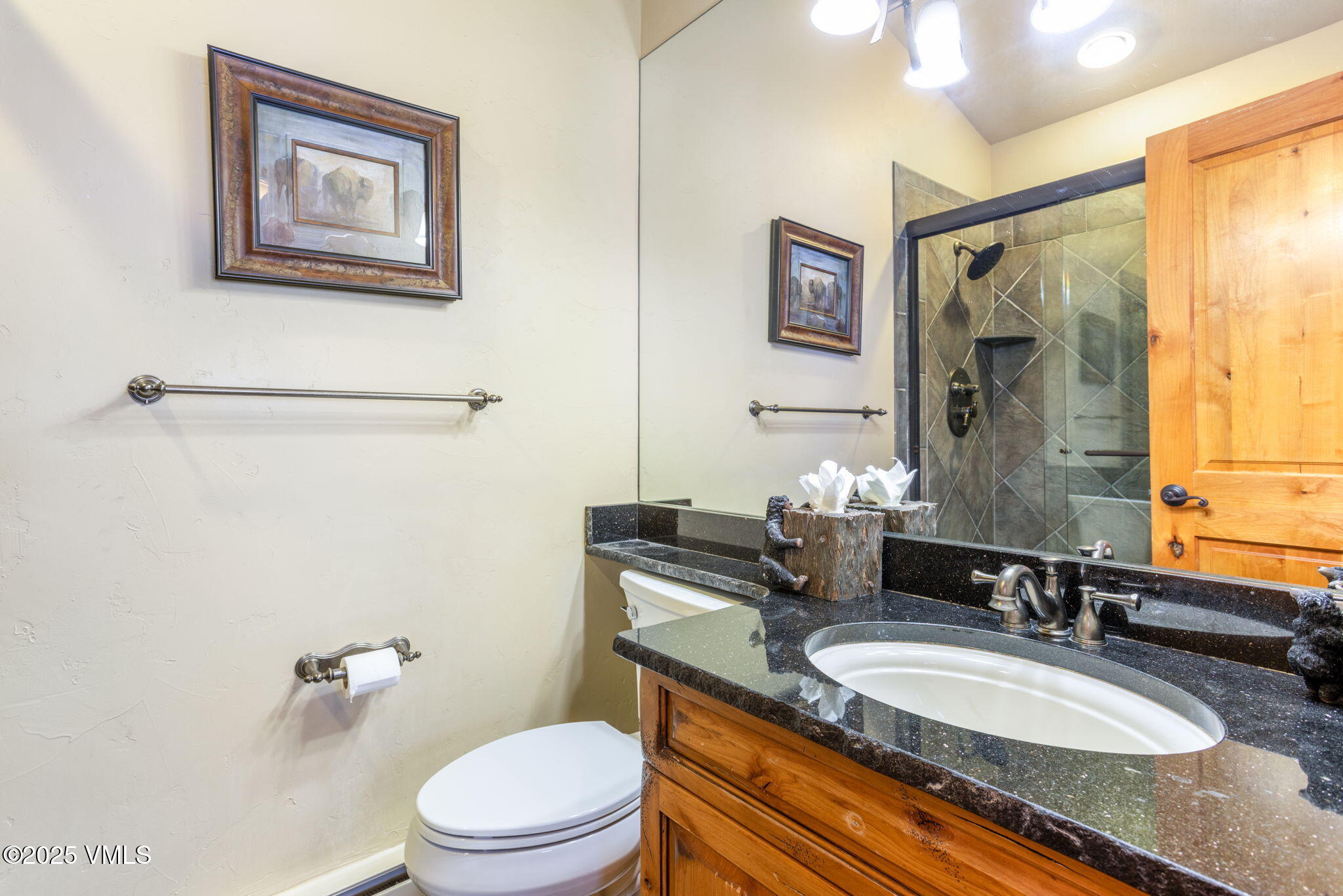 4670 Vail Racquet Club Drive 18 Property Photo 18