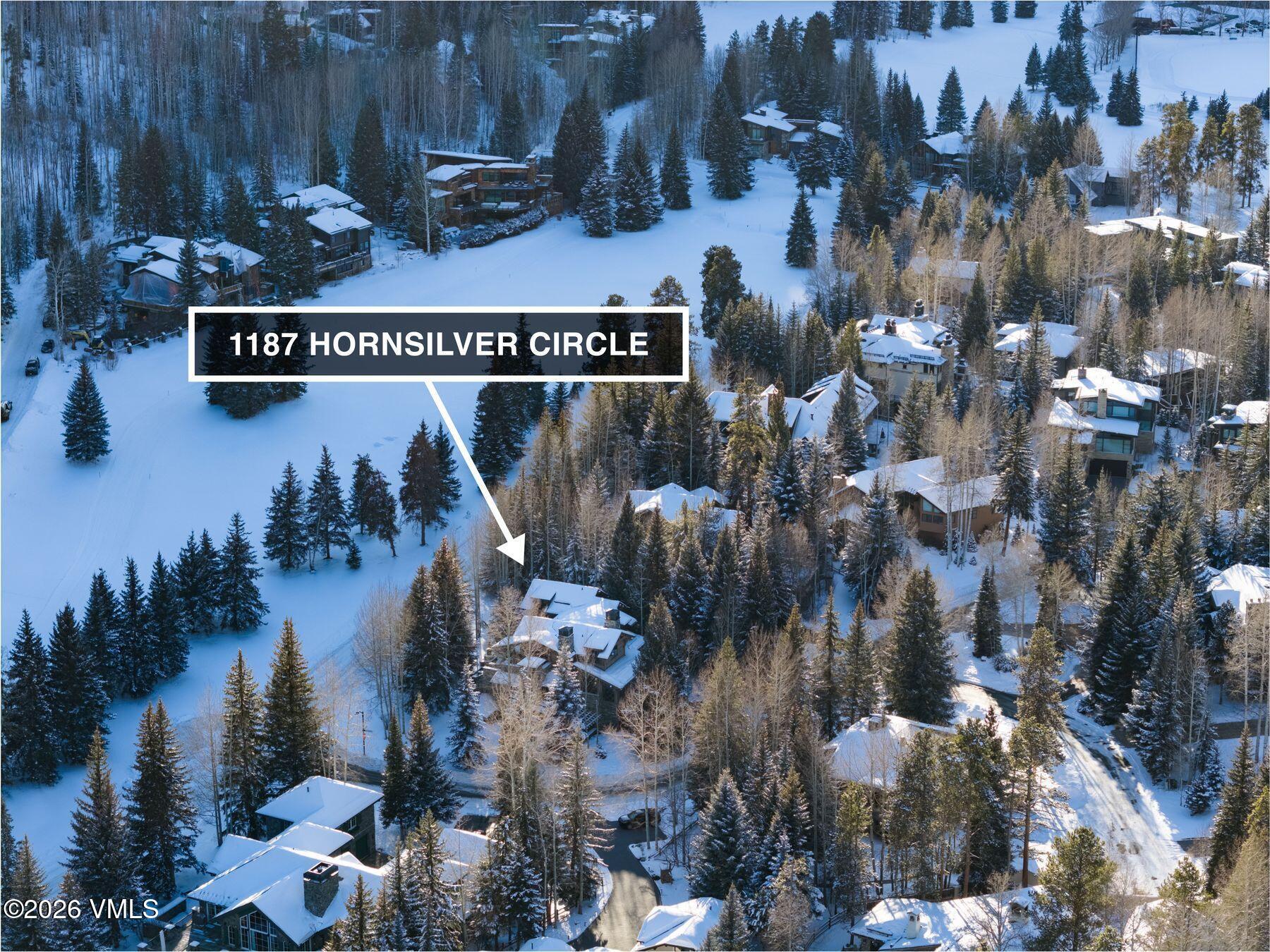 1187 Hornsilver Circle Property Photo 11