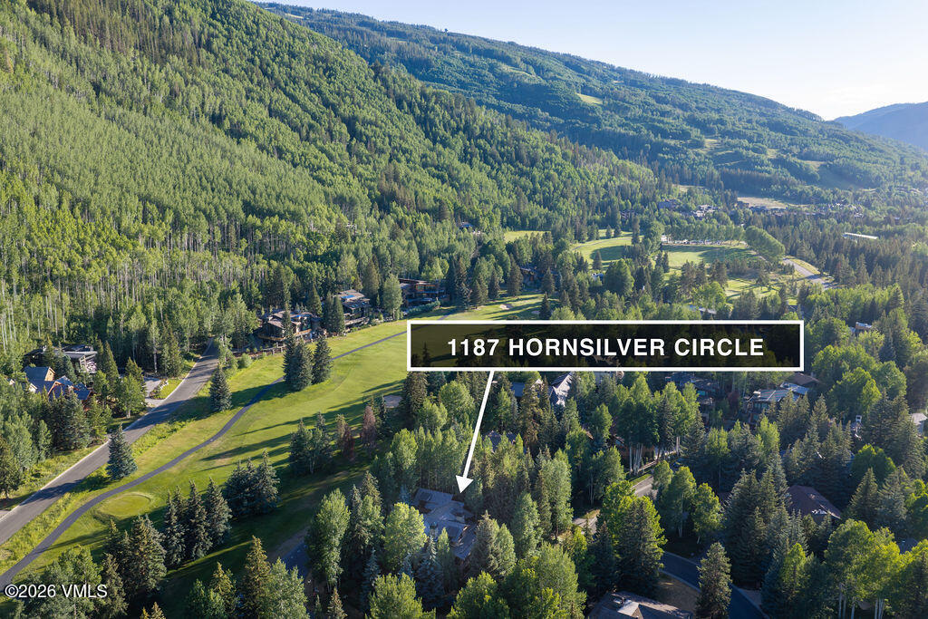 1187 Hornsilver Circle Property Photo 59