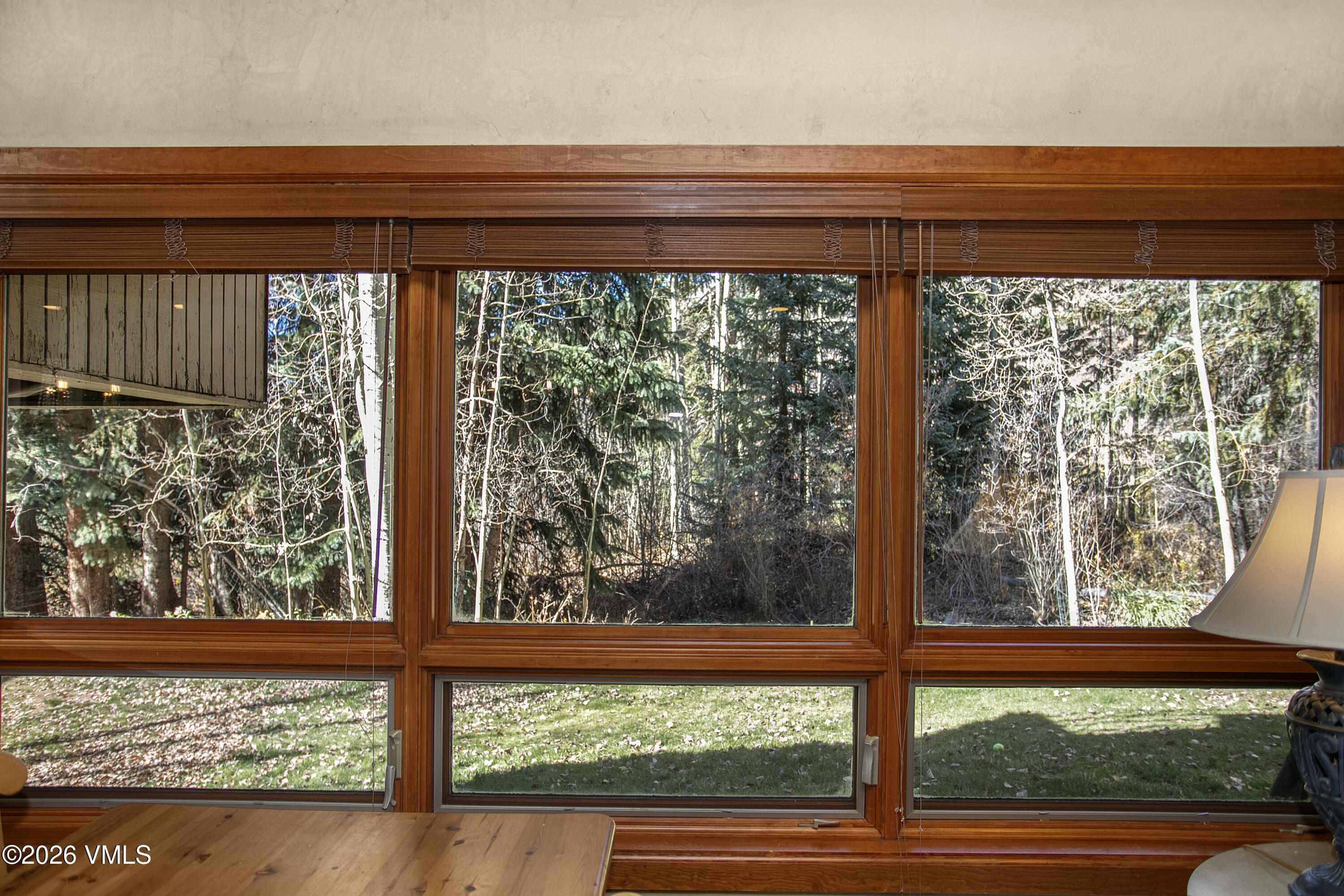 3911 Bighorn Road 1-b Property Photo 9