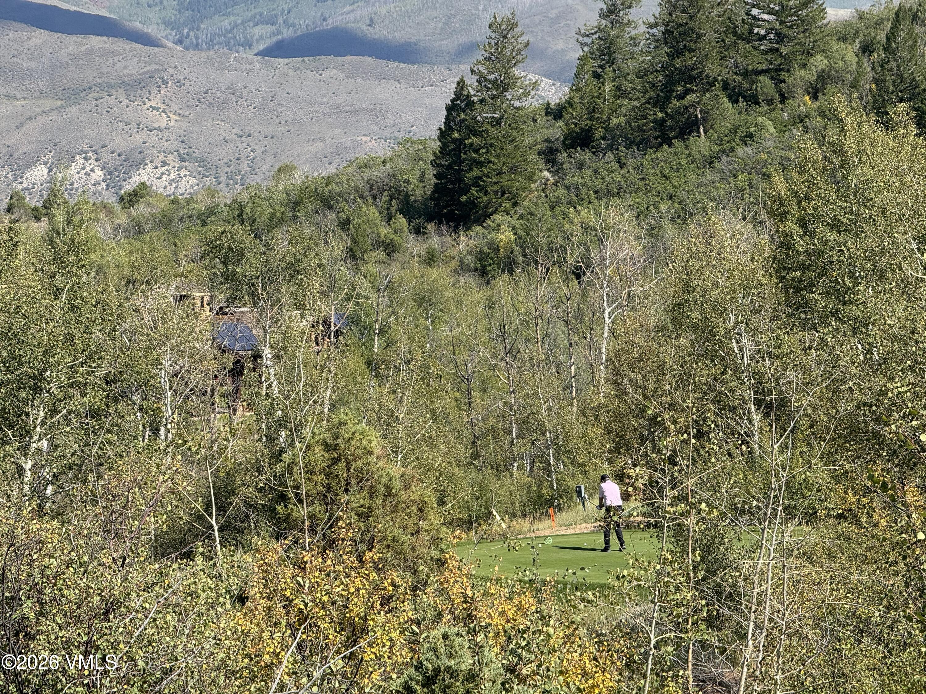 217 Saddle Rock Property Photo 4