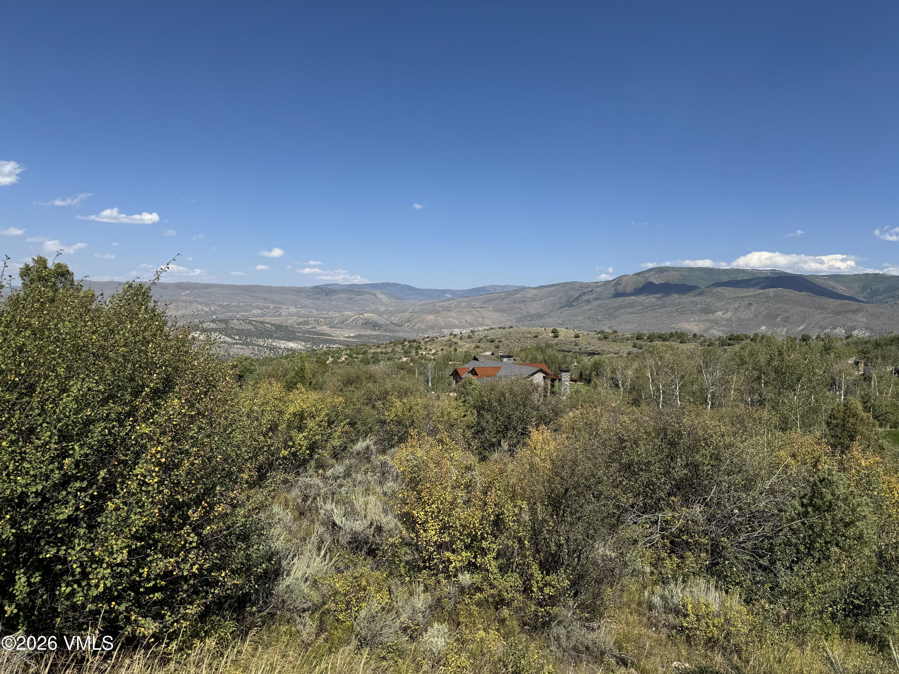 217 Saddle Rock Property Photo 6