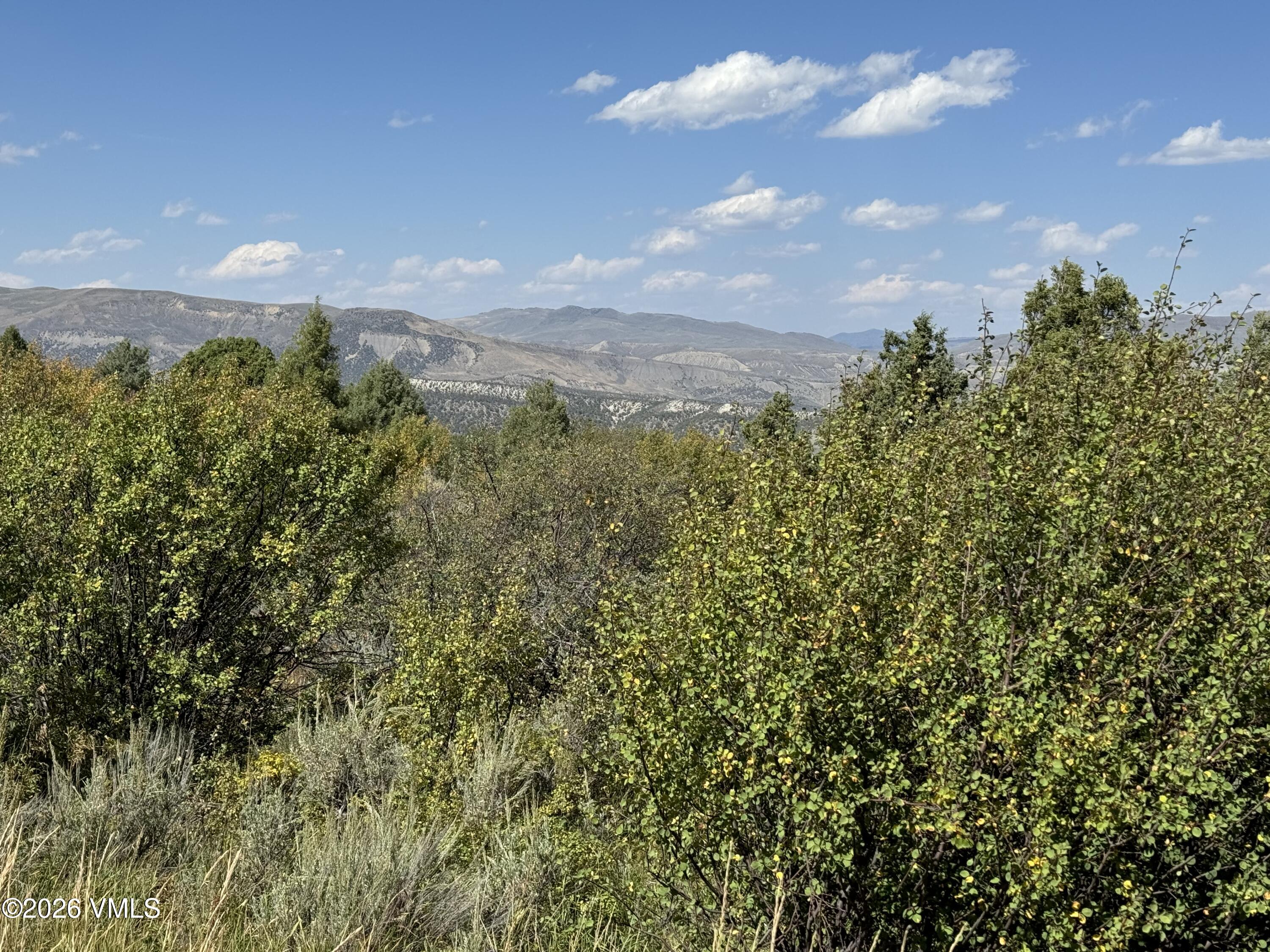 217 Saddle Rock Property Photo 7