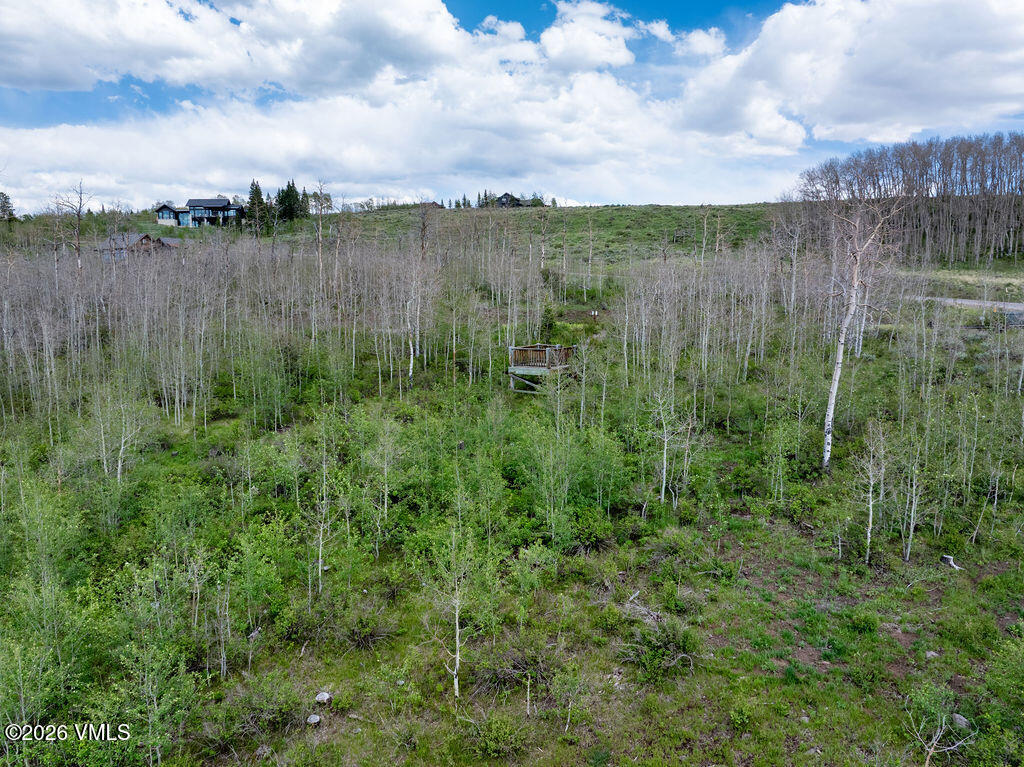 624 Gore Trail Property Photo 10