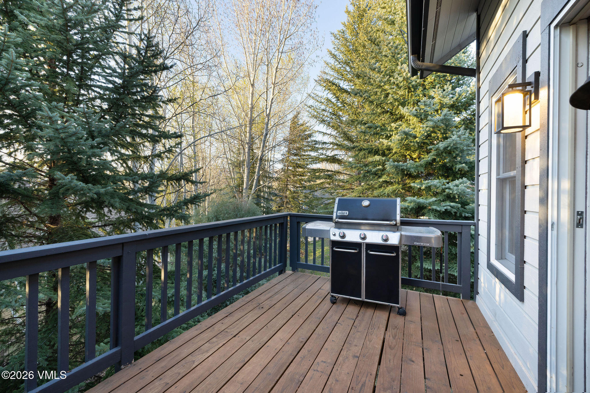 161 Remington Trail Property Photo 31