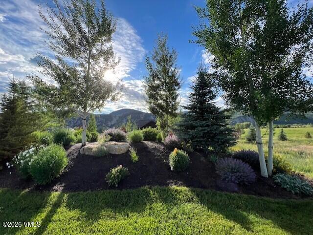 0598 Frost Creek Drive Property Photo 14