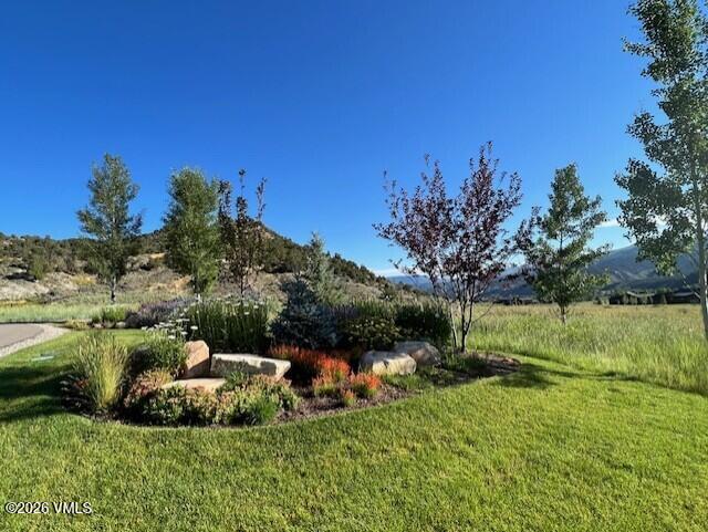 0598 Frost Creek Drive Property Photo 15