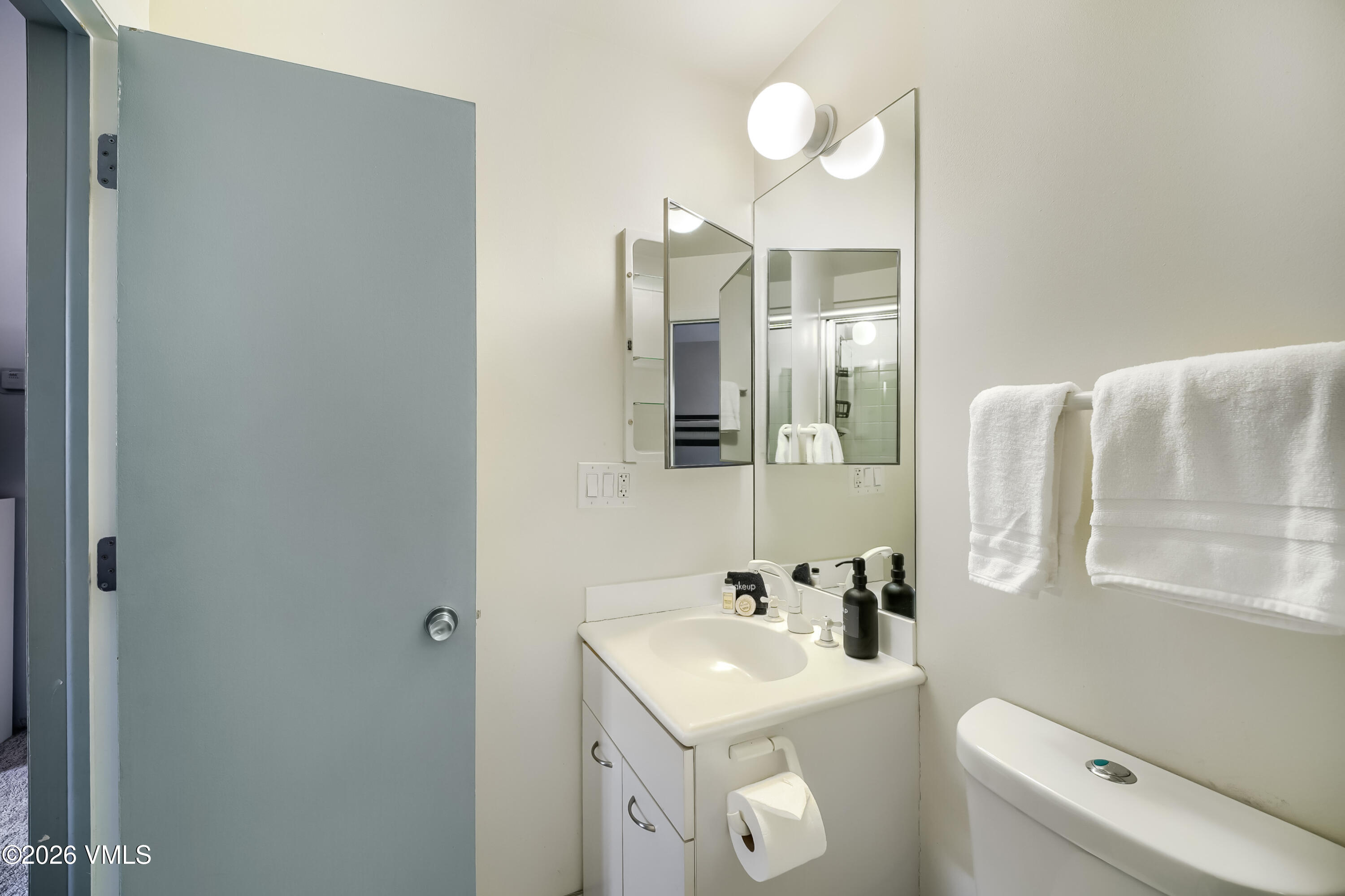 520 E Lionshead Circle 305 Property Photo 19