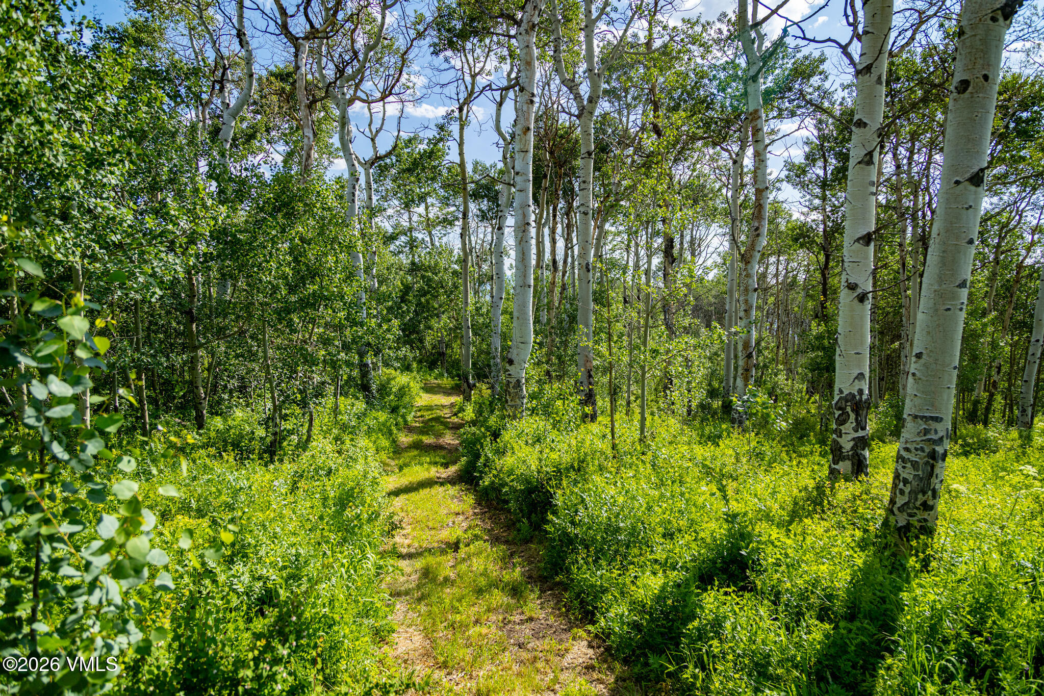 6903 Bellyache Ridge Road Property Photo 41