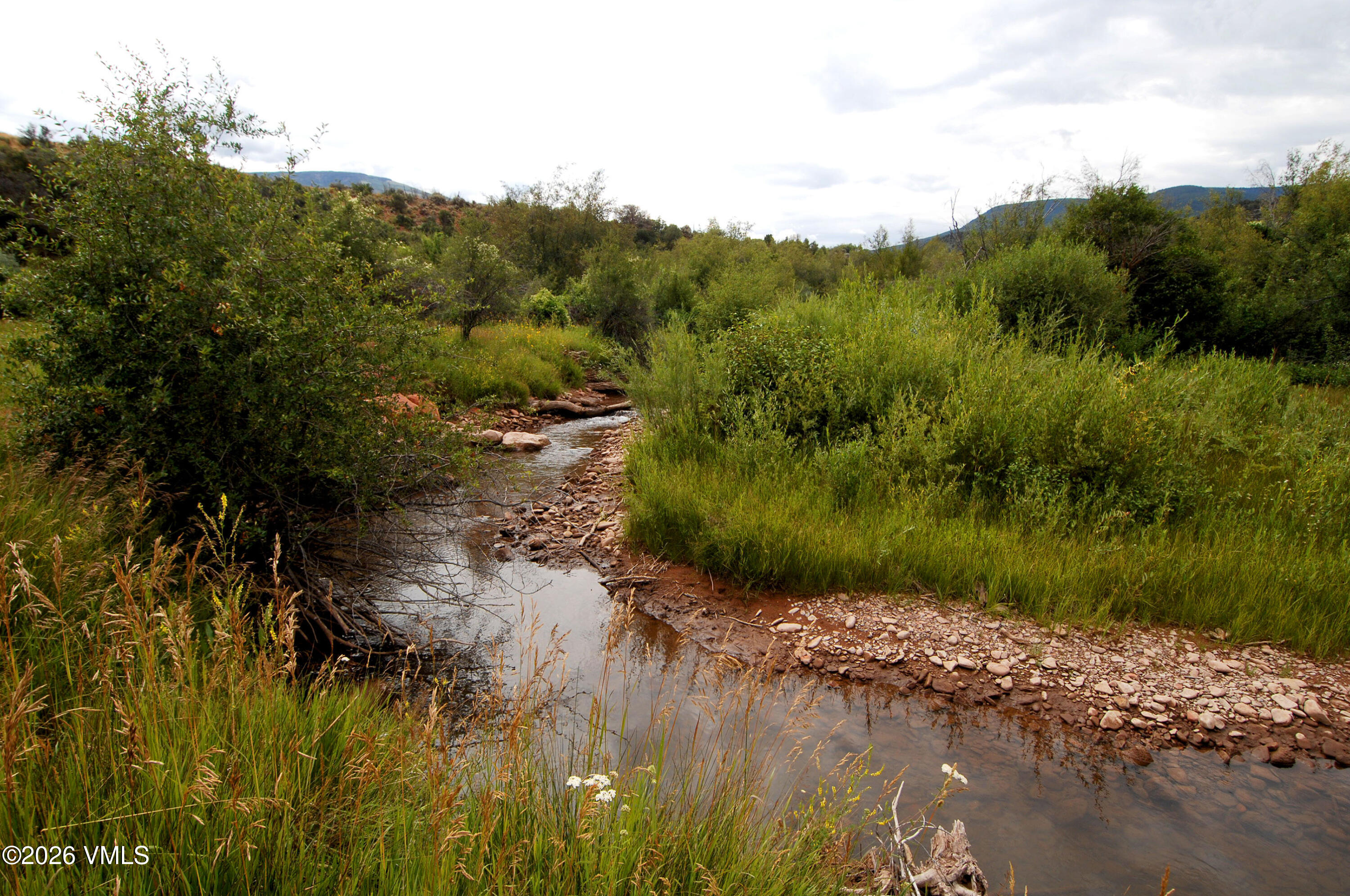 273 Bucktail Property Photo 49