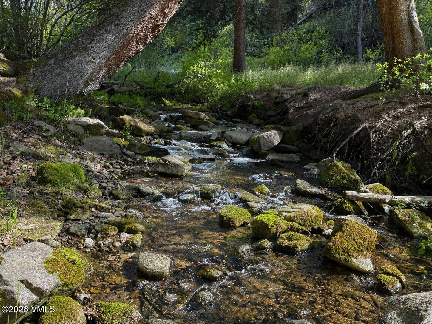 6010 Salt Creek Road Property Photo 27