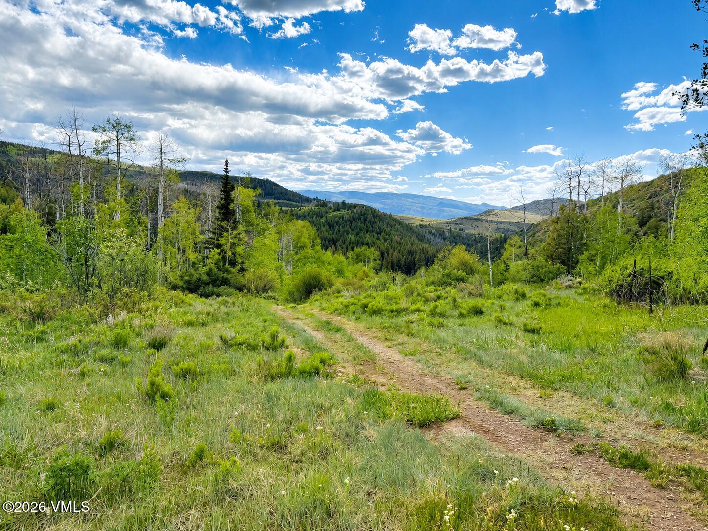 6010 Salt Creek Road Property Photo 39