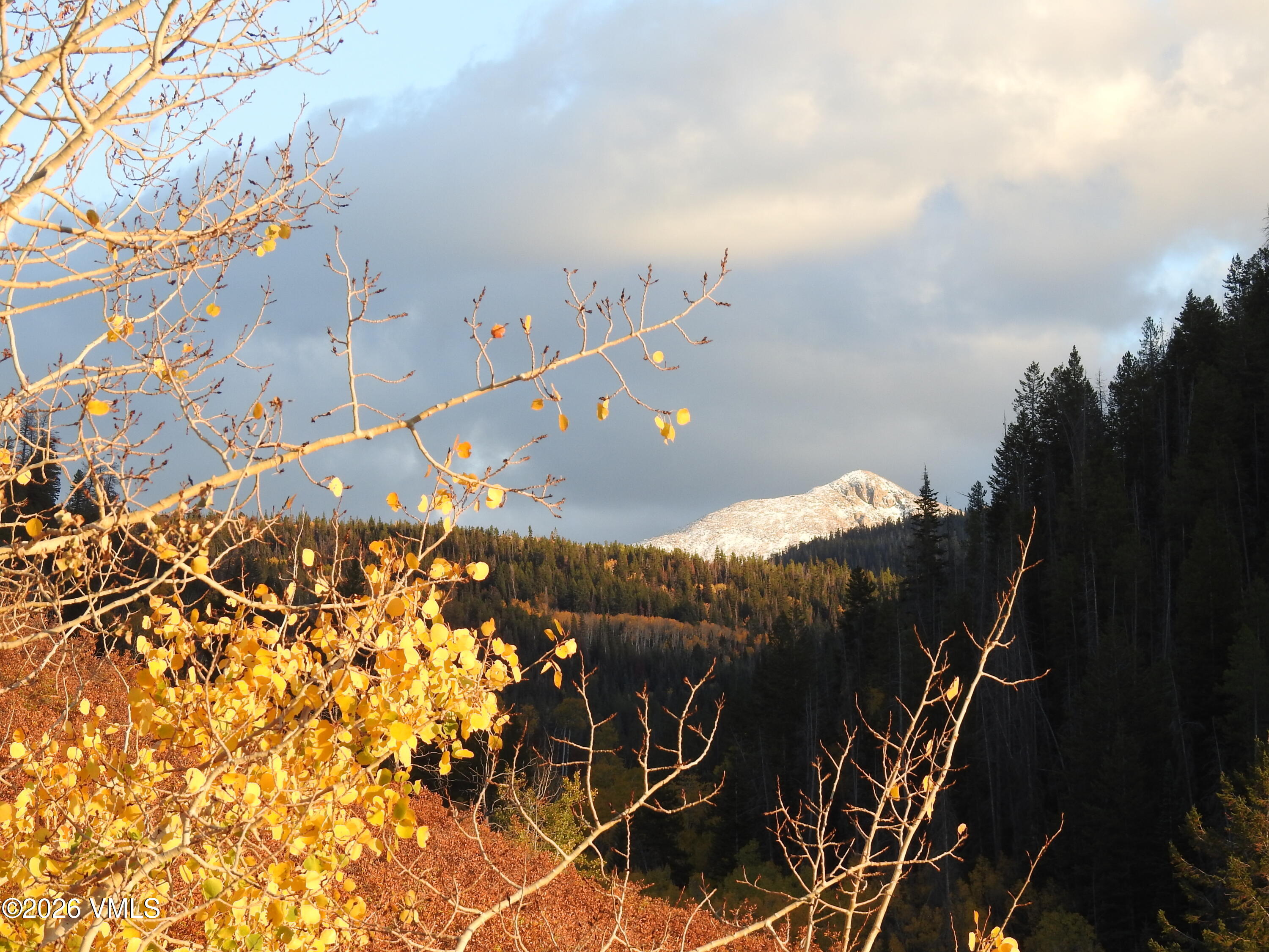 6010 Salt Creek Road Property Photo 44