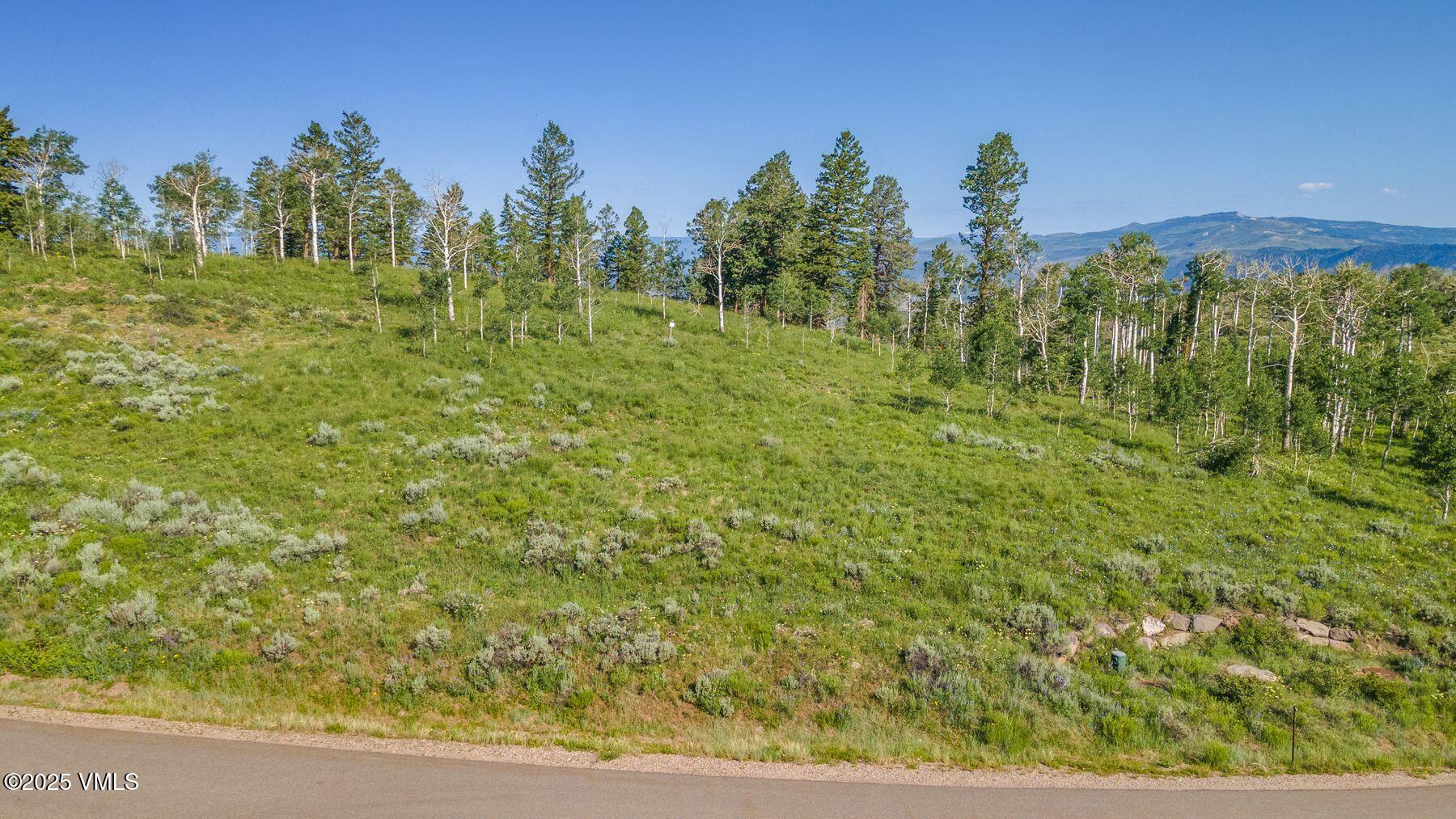 713 Webb Peak Property Photo 16