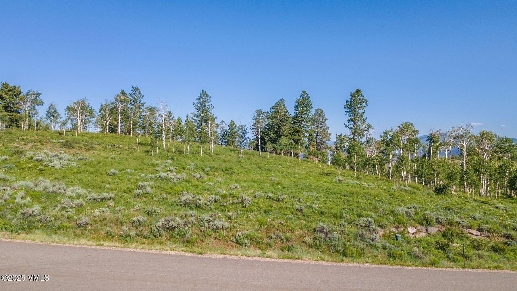 713 Webb Peak Property Photo 17
