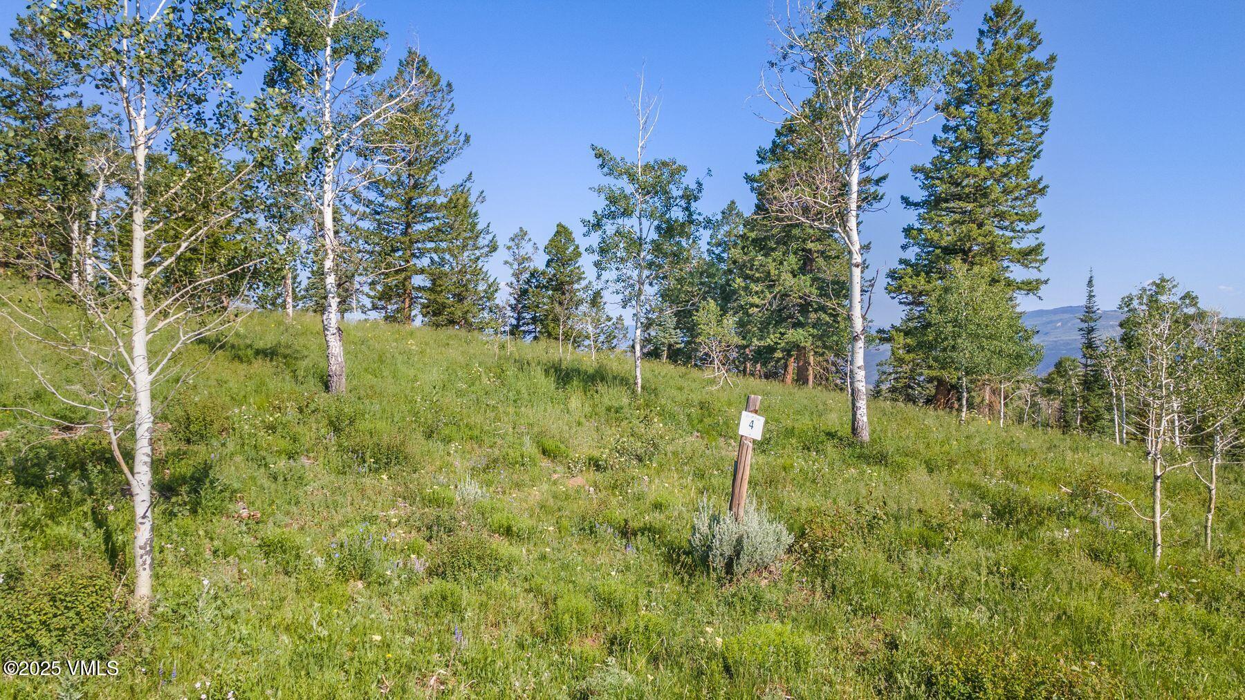 713 Webb Peak Property Photo 18
