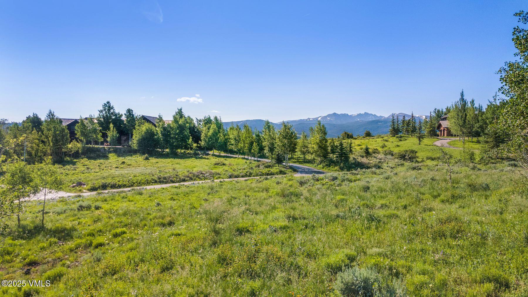 713 Webb Peak Property Photo 19