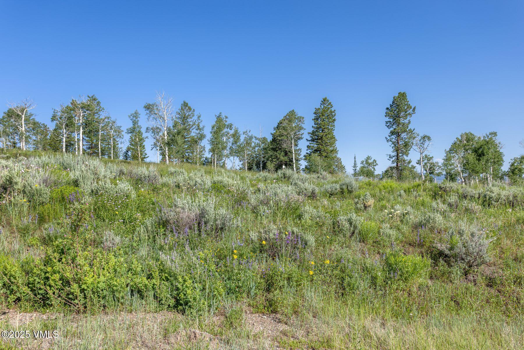 713 Webb Peak Property Photo 20
