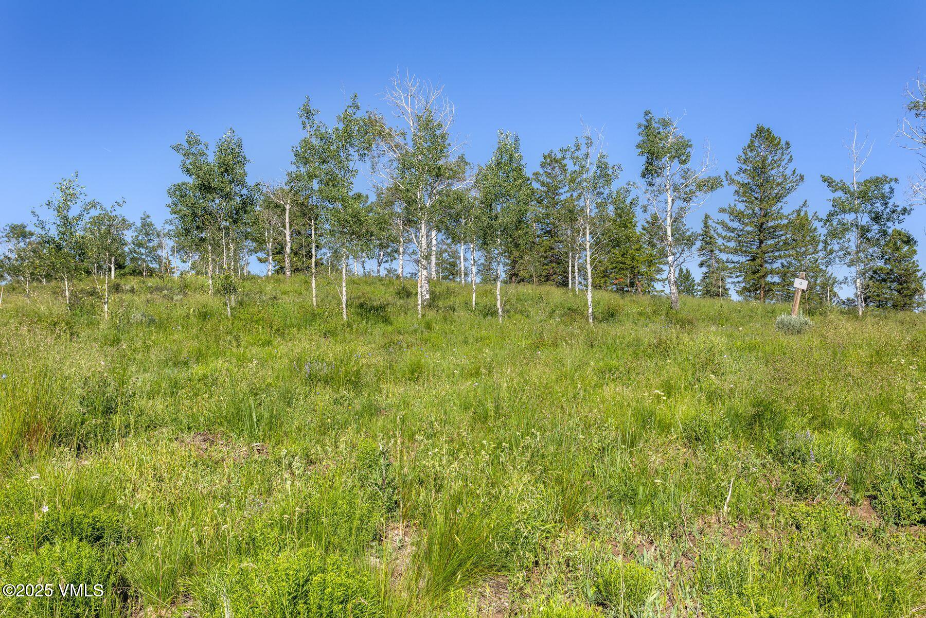 713 Webb Peak Property Photo 21